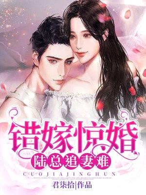 错嫁惊婚:陆总追妻难
